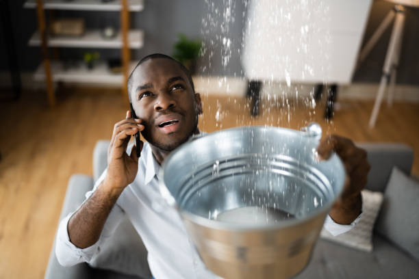 Best Water damage restoration insurance claims  in Eielson Af, AK