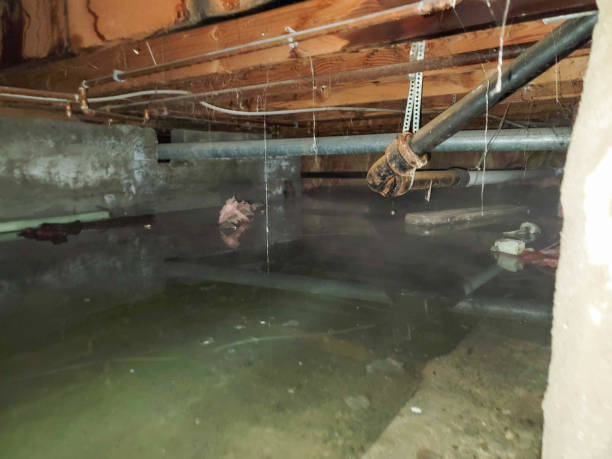 Best Basement water damage restoration  in Eielson Af, AK