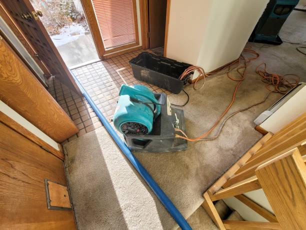 Best Residential water damage restoration  in Eielson Af, AK