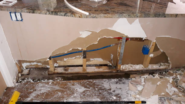 Best Mold removal after water damage  in Eielson Af, AK