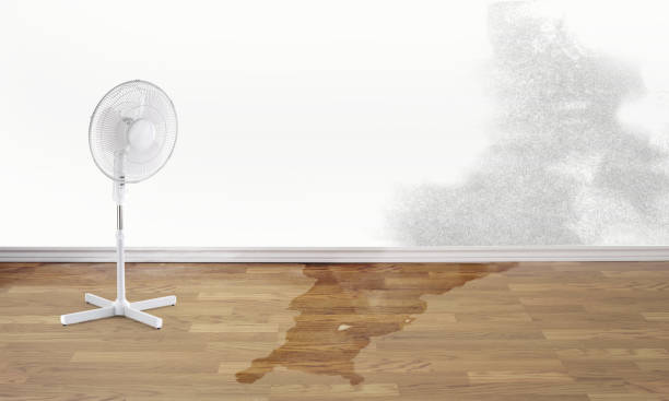 Best Water damage restoration experts  in Eielson Af, AK
