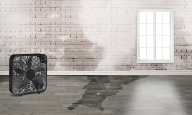 Best Water damage restoration specialists  in Eielson Af, AK
