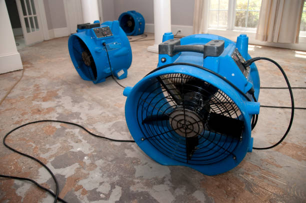 Best Basement water damage restoration  in Eielson Af, AK
