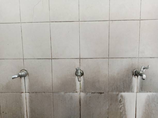 Best Water damage restoration process  in Eielson Af, AK