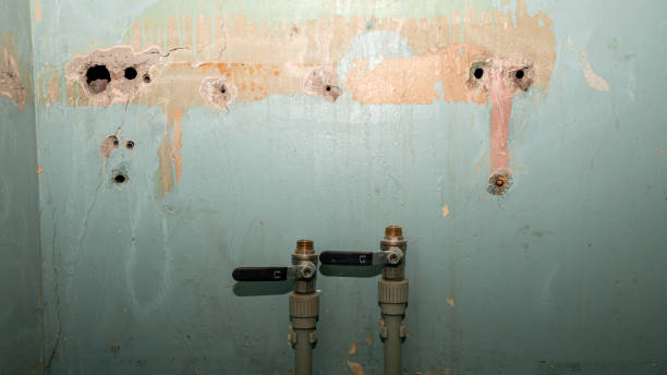 Trusted AK Water damage restoration Experts