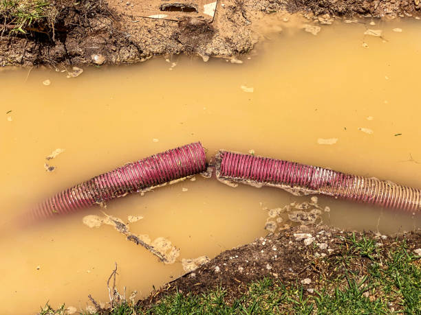 Best Water damage restoration services  in Eielson Af, AK